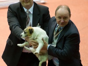 2012.02.25 HMP Senirów Spala obrazek 13